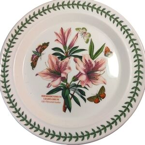 Portmeirion Dinner Plate